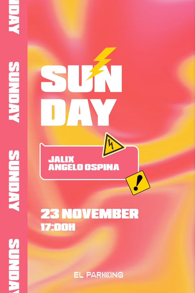 Cartel-Parking-Domingo-23